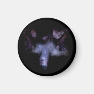 Fallner Spiegel Magnet