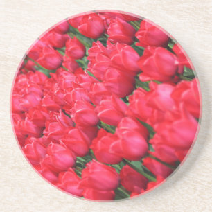 Fallner Teppich von Crimson Tulips Sandstein Untersetzer