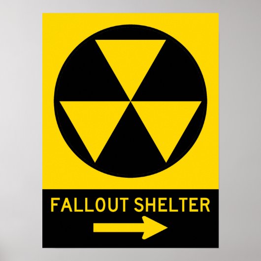 Fallout Shelter Guide Poster (Vorne)