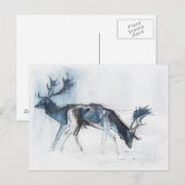 Fallow Bucks Richmond 2006 Postkarte (Vorne/Hinten)