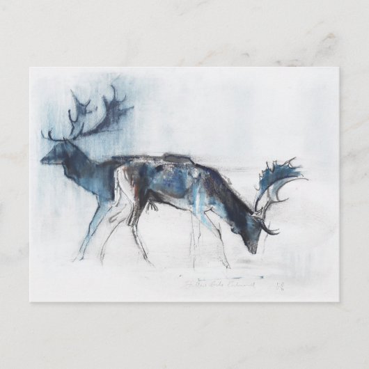 Fallow Bucks Richmond 2006 Postkarte (Vorderseite)