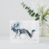 Fallow Bucks Richmond 2006 Postkarte (Stehend Vorderseite)