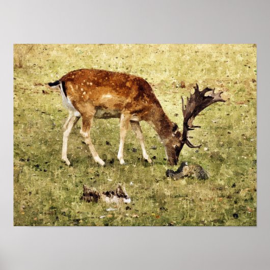 FALLOW DEIN POSTER (Vorne)
