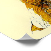 Fallpfau Poster (Ecke)