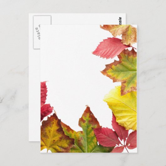 Fallrahmen Postkarte (Vorne/Hinten)