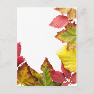 Fallrahmen Postkarte