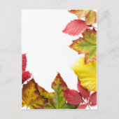 Fallrahmen Postkarte (Vorderseite)