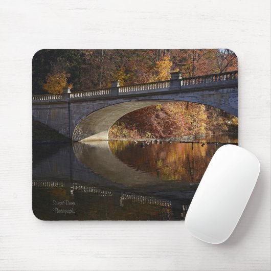 Fallreflexe im Vanderbilt-Anwesen Mousepad (Mit Mouse)