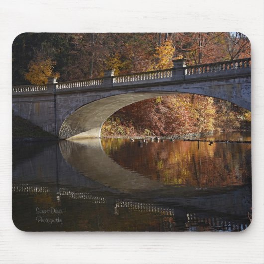 Fallreflexe im Vanderbilt-Anwesen Mousepad (Vorne)