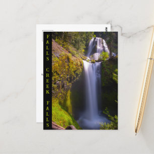 Falls Creek Falls Gifford Pinchot National Forest Postkarte