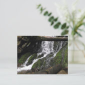 Falls in Redwood Staat Park Postkarte (Stehend Vorderseite)