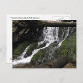 Falls in Redwood Staat Park Postkarte (Vorne/Hinten)