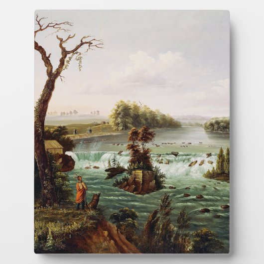 Falls of Saint Anthony von Henry Lewis Fotoplatte (Vorderseite)