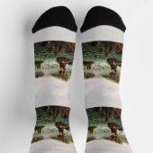 Falls of Saint Anthony von Henry Lewis Socken (Oben)