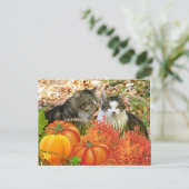 Falls Season Cats und Pumpkins Postkarte (Stehend Vorderseite)