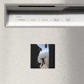 Fallschirmteam der US-Luftwaffe Magnet (In Situ (Geschirrspüler))