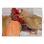 Fallstäbchen (Vorderseite (Horizontal))