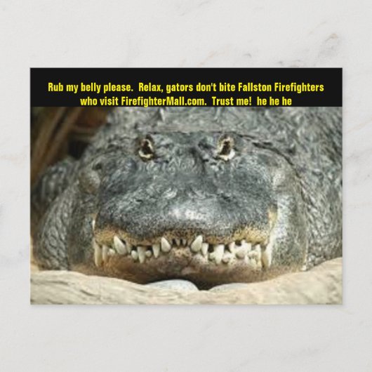 Fallston Firefighter Postcard Postkarte (Vorderseite)