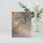 Fallsylvania Postkarte (Stehend Vorderseite)