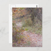 Fallsylvania Postkarte (Vorne/Hinten)