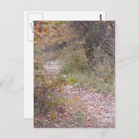 Fallsylvania Postkarte (Vorne/Hinten)