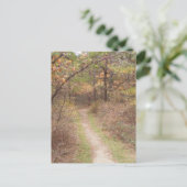 Fallsylvania Postkarte (Stehend Vorderseite)