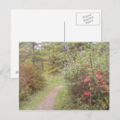 Fallsylvania Postkarte (Vorne/Hinten)