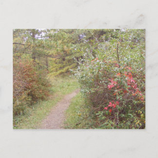 Fallsylvania Postkarte