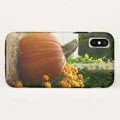 Fallszene - Kürbis mit gelben Orangenmehmen Case-Mate iPhone Hülle (Rückseite (Horizontal))