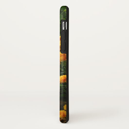 Fallszene - Kürbis mit gelben Orangenmehmen Case-Mate iPhone Hülle (Hinten/Links)