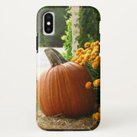 Fallszene - Kürbis mit gelben Orangenmehmen