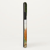 Fallszene - Kürbis mit gelben Orangenmehmen Case-Mate iPhone Hülle (Hinten/Rechts)