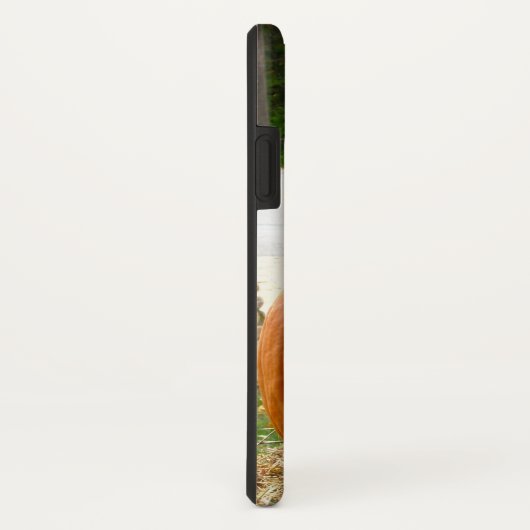Fallszene - Kürbis mit gelben Orangenmehmen Case-Mate iPhone Hülle (Hinten/Rechts)