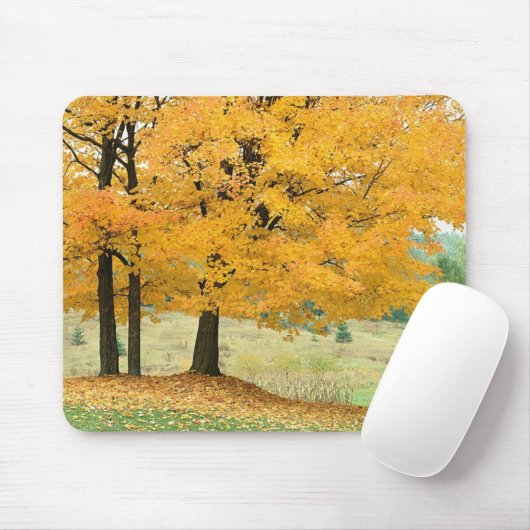 Fallszene Mousepad (Mit Mouse)