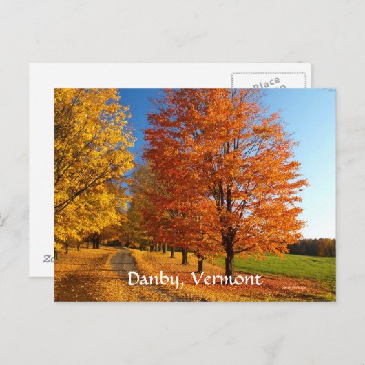 Fallszene Postkarte (Vorne/Hinten)