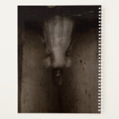 Fallt, ich sehe dich planer (Rückseite)