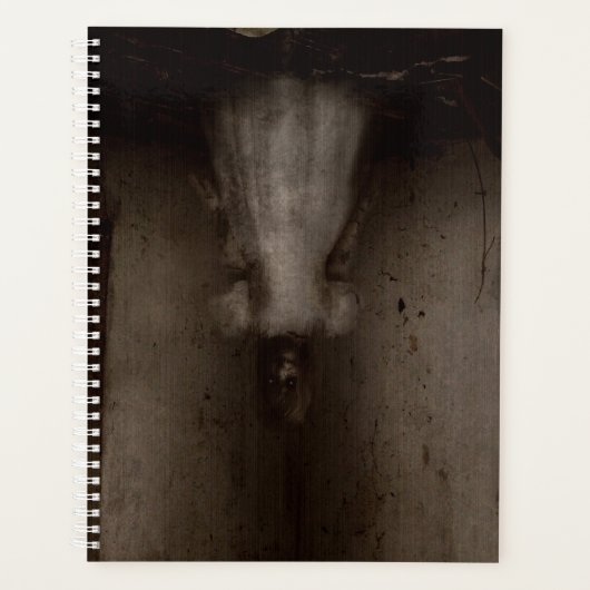 Fallt, ich sehe dich planer (Vorderseite)