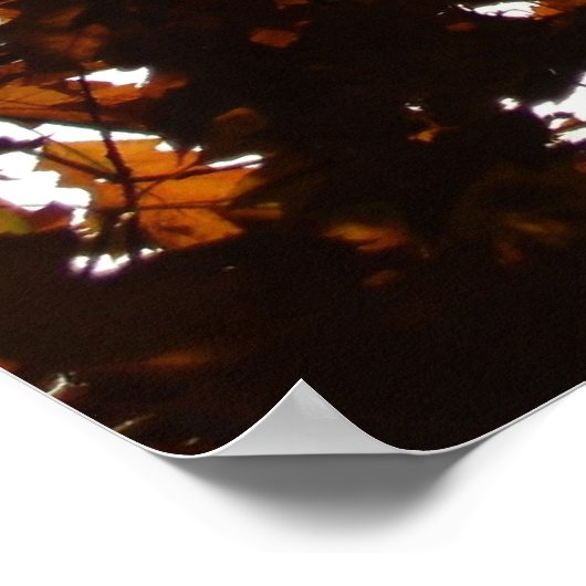 falltransparent poster (Ecke)