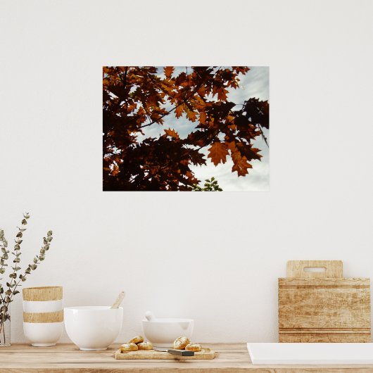 falltransparent poster (Küche)