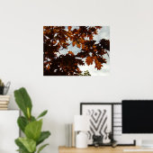 falltransparent poster (Heimbüro)