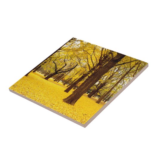 Fallwaldlandschaft Fliese (Seite)