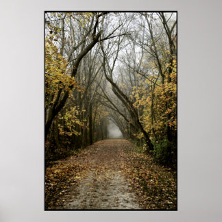 Fallweg führt in Nebel Poster
