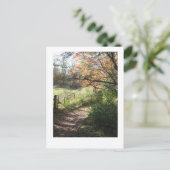 Fallweg-Postkarte Postkarte (Stehend Vorderseite)