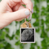 Falsche Farbansicht von Saturns Mondhyperion Schlüsselanhänger (Hand)