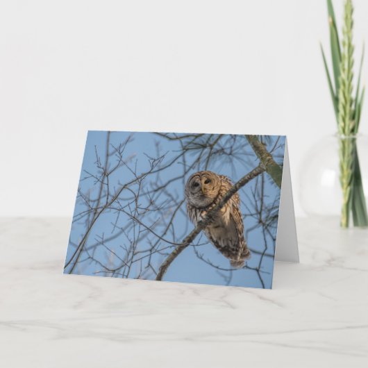 Falsche Notecard einer Sperrschale Dankeskarte (Vorderseite)