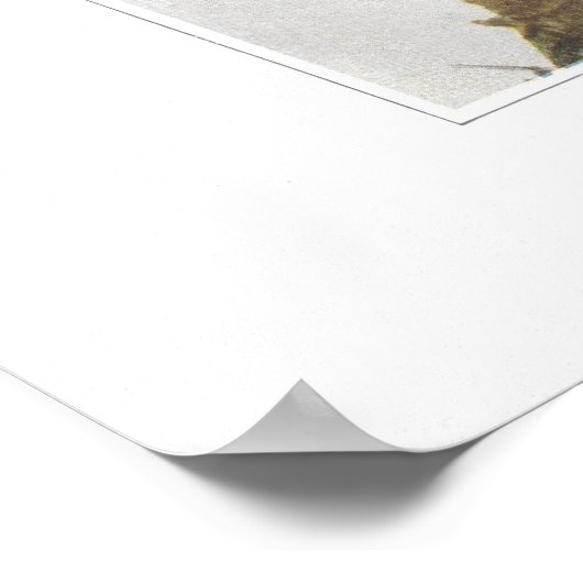 Falsche oder wilde Lily des Tals Poster (Ecke)