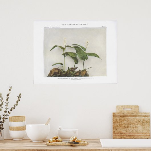 Falsche oder wilde Lily des Tals Poster (Küche)