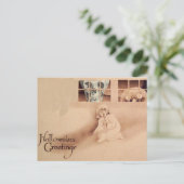 Falsche Schulter... Skull-Kürbislaterne-Monster Postkarte (Stehend Vorderseite)