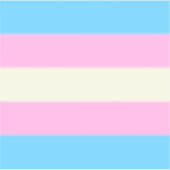 Falsche Trans-Pride-Flagge Aufkleber (Vorderseite)
