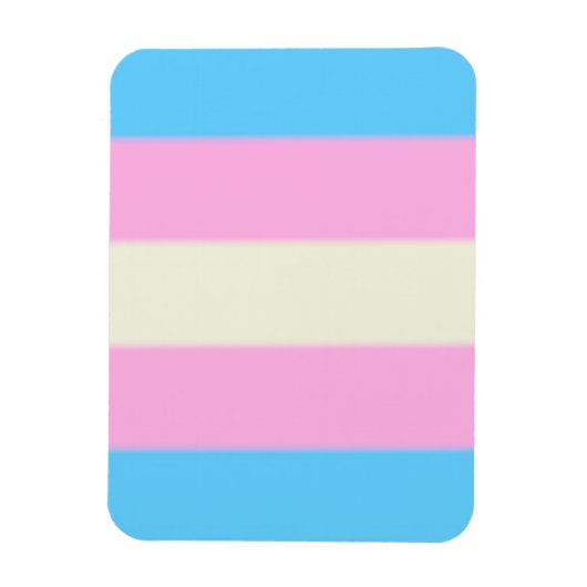 Falsche Transgender-Pride-Markierung Magnet (Vertikal)